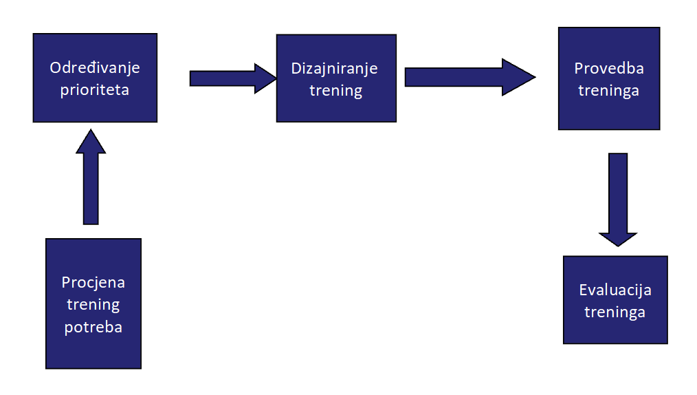 model razvoja - trening za trenere